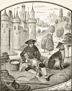 Sheep shearing in the Middle Ages, from 